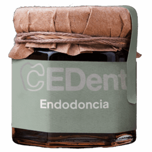 Endodoncia