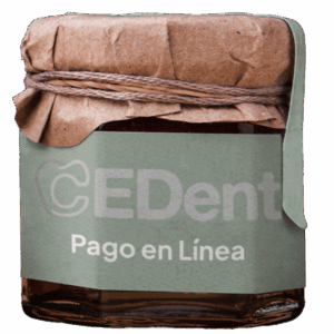 Pago en Línea