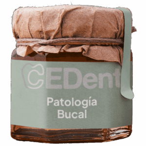 Patología Bucal